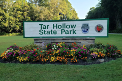 Tar Hollow State Forest