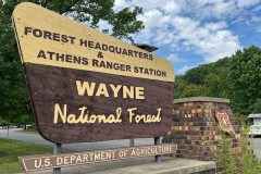 Wayne National Forest