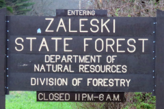 Zaleski State Forest